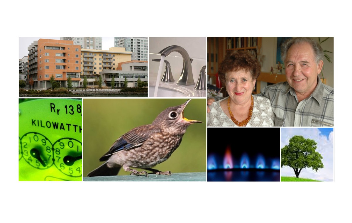 Affordable Community Energy Services Company (ACE) offering image
