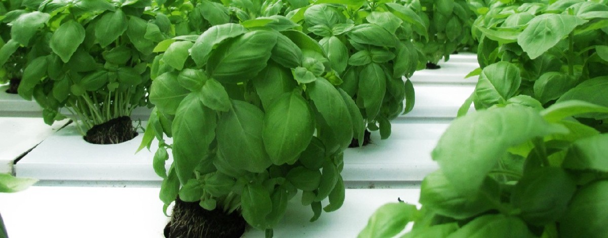 Fusion Farms offering image