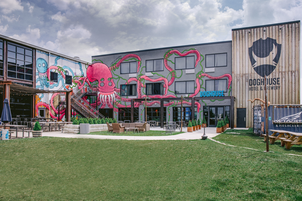 BrewDog offering image