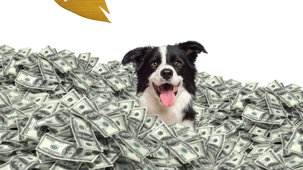 Furry Fortune The Movie, LLC offering image