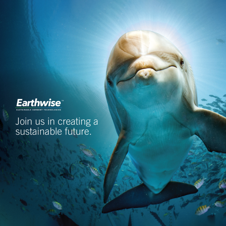 EarthWise StartEngine