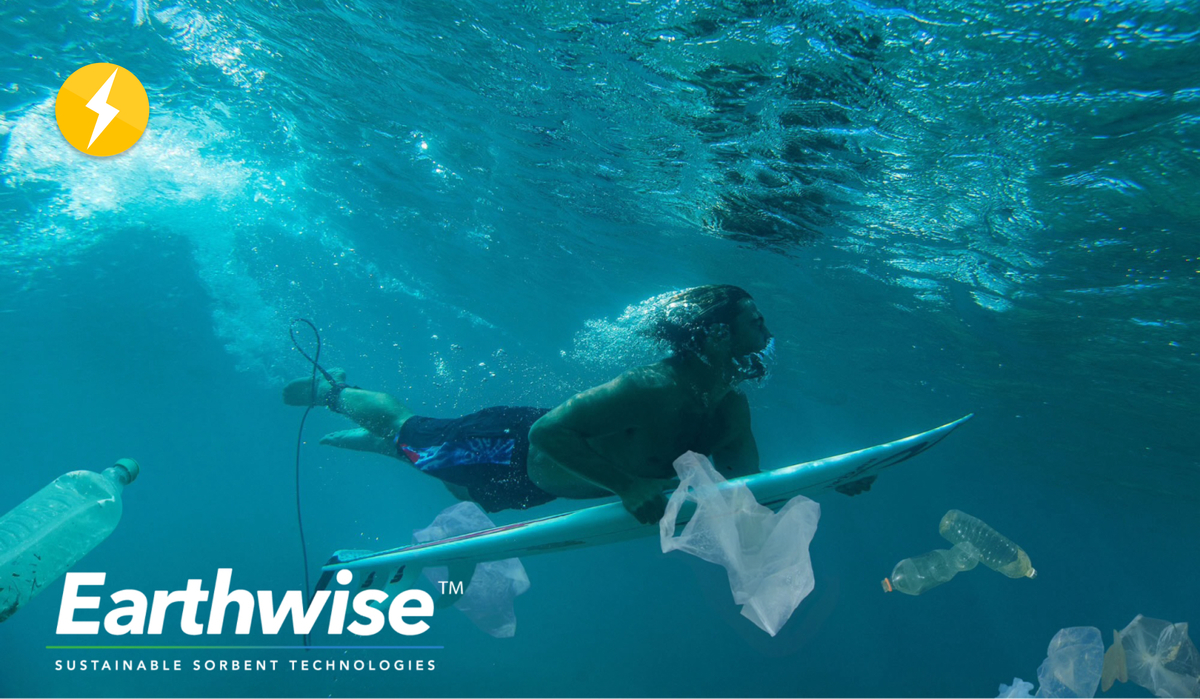EarthWise offering image