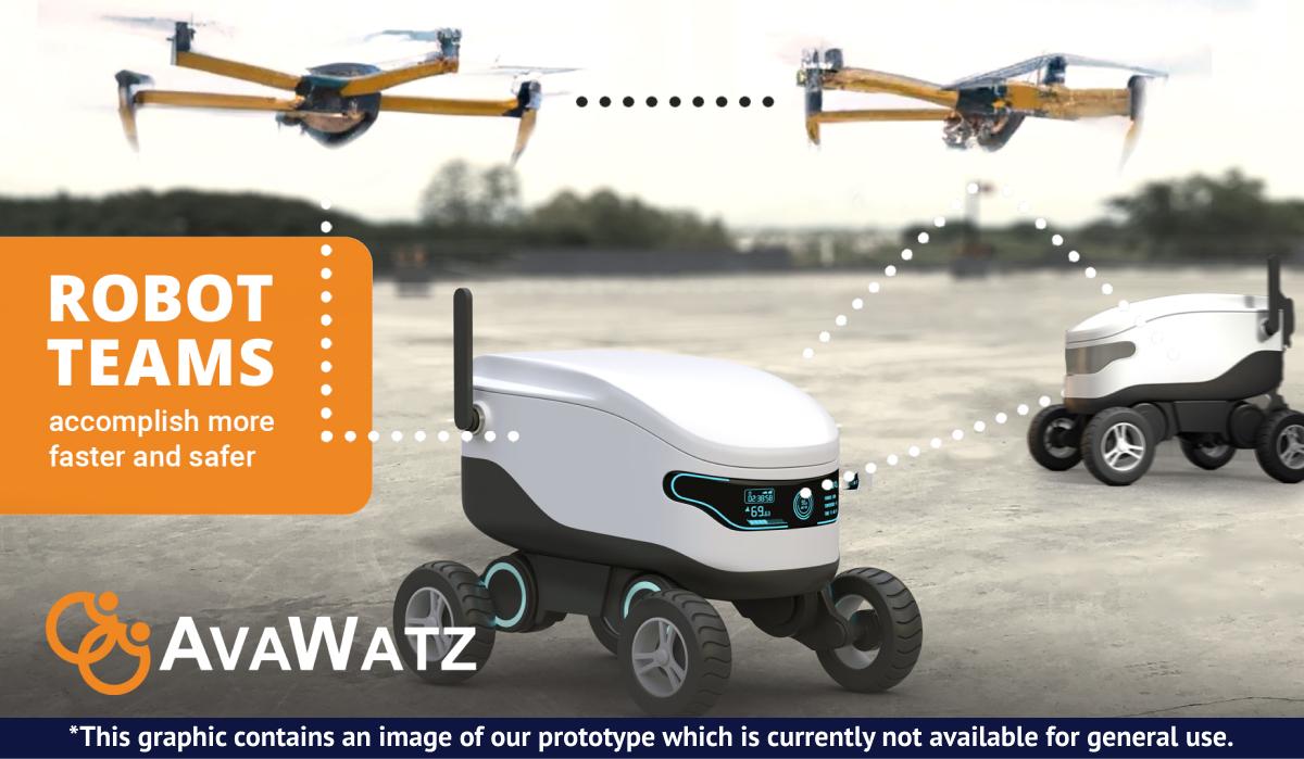 AvaWatz offering image